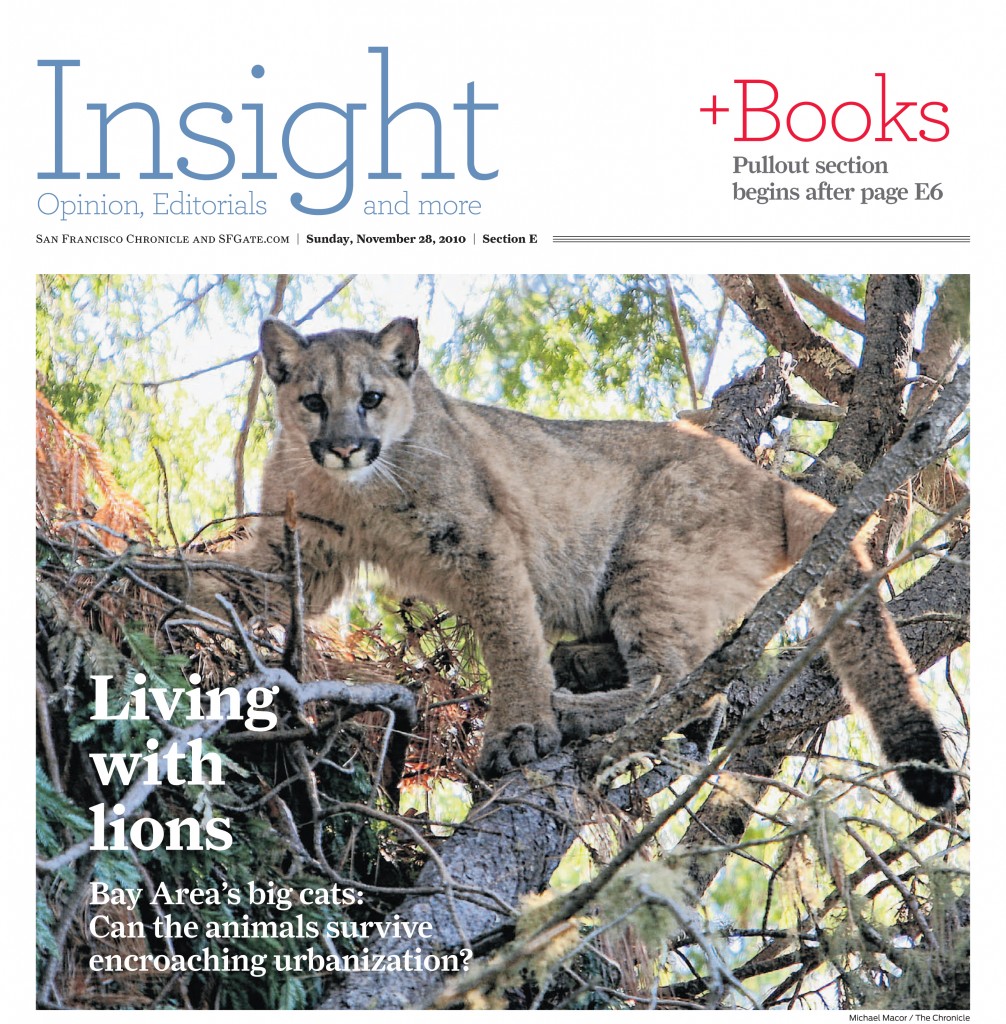 Living with Lions