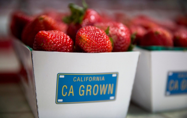 Fields of Toxic Pesticides Surround the Schools of Ventura County. Are They Poisoning the Students?