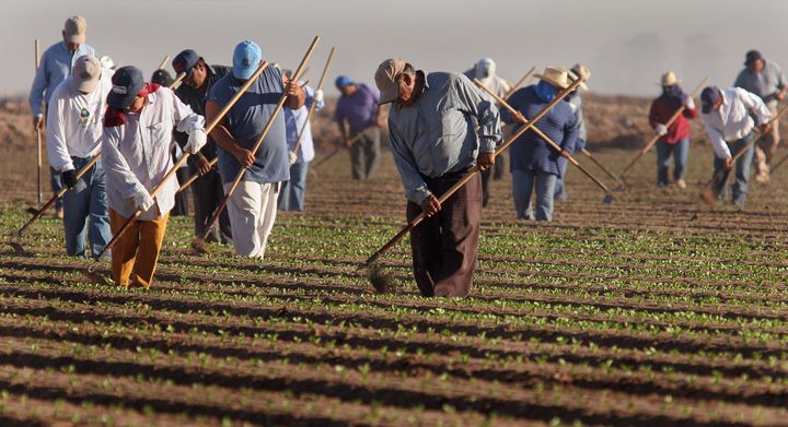 Migrant Farmworkers Feed America — And They’re At High Risk For A Coronavirus Outbreak