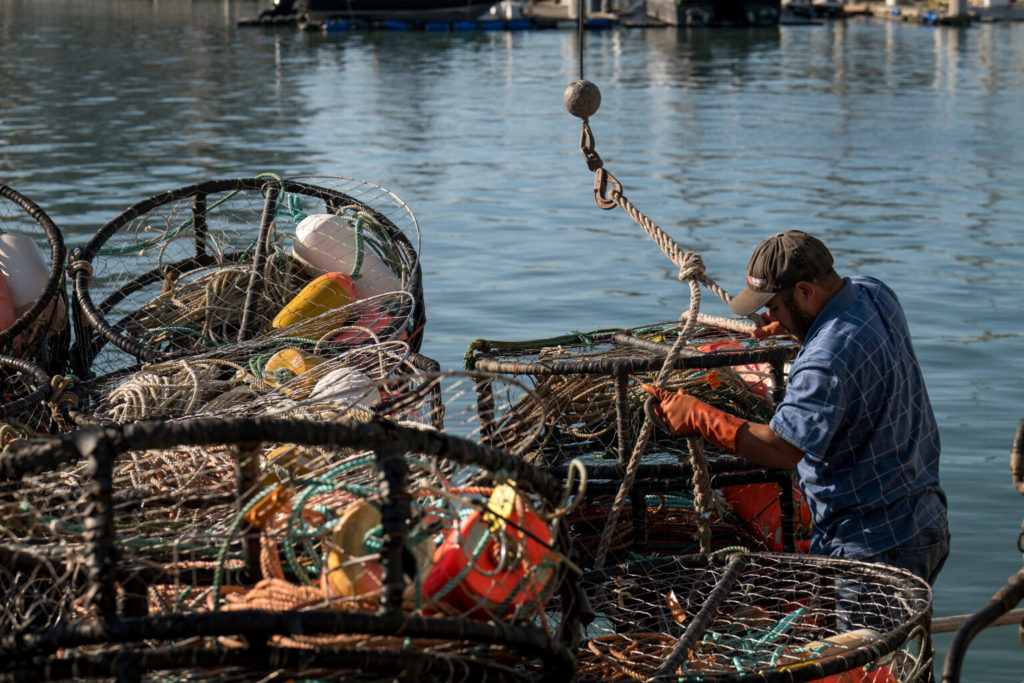 As Warming Oceans Bring Tough Times to California Crab Fishers, Scientists Say Diversifying is Key to Survival