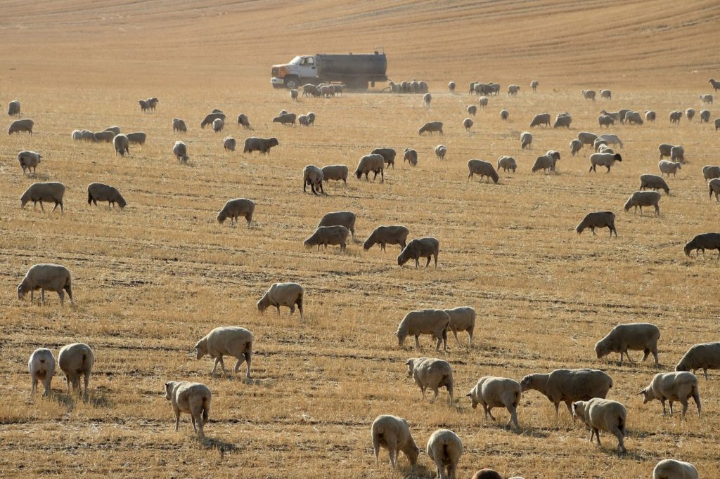 California’s Relentless Droughts Strain Farming Towns