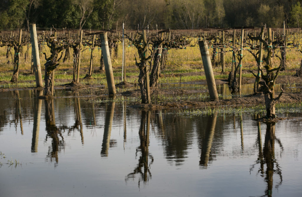 How Capturing Floodwaters Can Reduce Flooding and Combat Drought